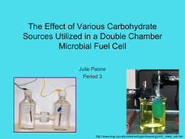 Air-Cathode Single Chamber Microbial Fuel Cell