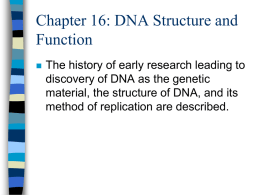 Chapter 14: DNA Structure and Function