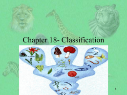 Chapter 18- Classification