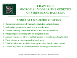 18A-GeneticsOfViruses