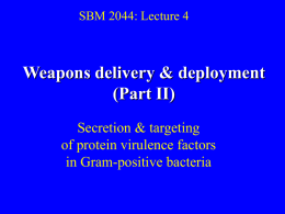 medmicro4-weapons delivery – G+
