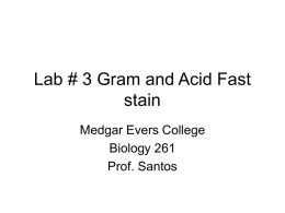 Lab # 3 Gram and Acid Fast stain