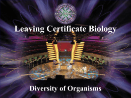 Diversity of Organisms WWTBAM