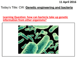 10. Genetic engineering and bacteria