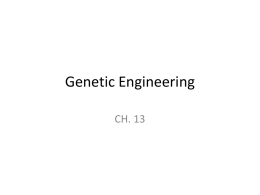 Genetic Engineering - Duplin County Schools