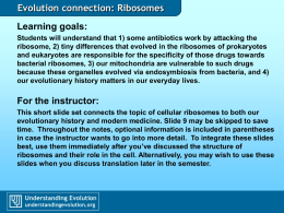 Ribosomes - Understanding Evolution