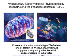 Mitochondrial_E_Final