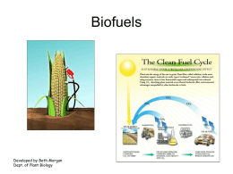 Environmental challenges: Biofuels