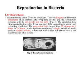 Occurrence (Distribution of bacteria)