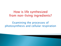 How is life synthesized from non