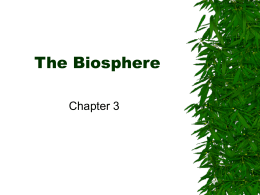 Biology Chapter 3 (The Biosphere)