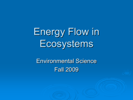 Energy_Flow_in_Ecosystems