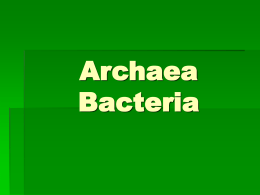 Archaebacteria - Raleigh Charter High School