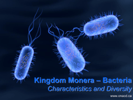 Bacteria Powerpoint #2