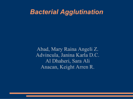 Bacterial Agglutination