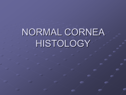 Cornea pathology A lecture covering a range of corneal