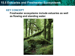 15.5 Estuaries and Freshwater Ecosystems