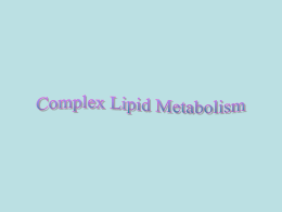 Complex Lipid Metabolism