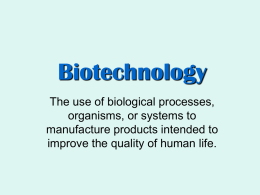 2010: Biotechnology Powerpoint