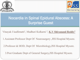 Nocardia in Spinal Epidural Abscess: A Surprise Guest