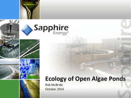 Sapphire Energy - Algae Biomass Organization