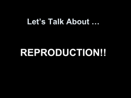 REPRODUCTION!!