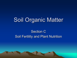 Soil Colloids and Soil Chemistry