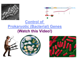 5 Bacterial Gene Control 2011