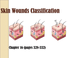 Skin Wounds Classification - HighSchoolSportsMedicine