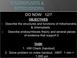 Chloroplasts and Mitochondria PP