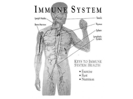 Immune Cells - Your Resource Center