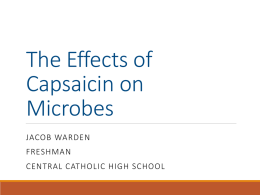 CCHS Jacob Warden The Effects of Capsaicin on Microbesx