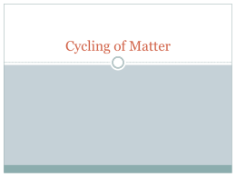 4 Cycling of Matter