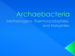 Archaebacteria