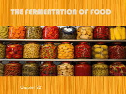 The Fermentation of Food Chapter 22