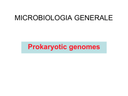 Prokaryotic genomes