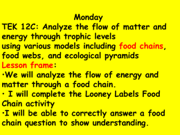 Topics: 3. Food Chains 4. Food Webs 5. Food Pyramids 6. Predator