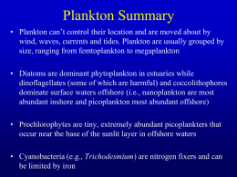 Marine Ecology 2011, final lecture 8 Zooplankton