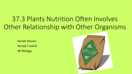 37.3 Plants Nutrition Often Involves Other Relationship with Other