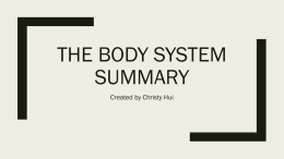 Christy_Hui-_The_Body_System_Summaryx
