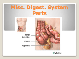 Misc. Digest. System Parts Liposuction