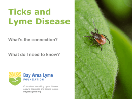 How common is Lyme disease?