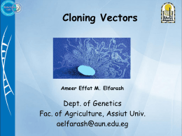 Cloning vectors share four common properties