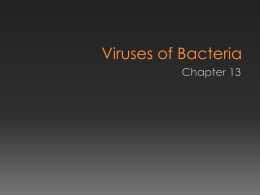 Viruses of Bacteria