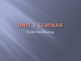 Unit 2 Seminar