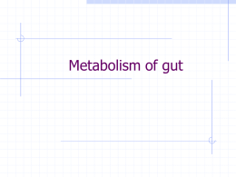 Metabolisms of gut