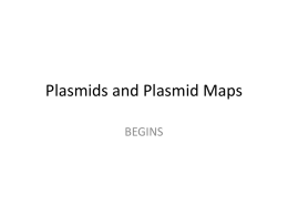 Plasmids and Plasmid Maps