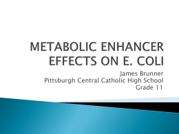 Metabolic Enhancer Effects on E Coli