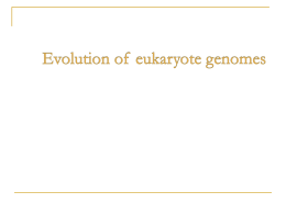 Evolution of eukaryote genomes