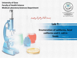 Lab7-Enumeration of total coliform, fecal colifrom and E.coli in foods
